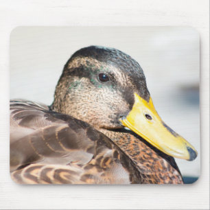 Alfombrilla De Ratón Mallard