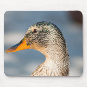 Alfombrilla De Ratón Mallard