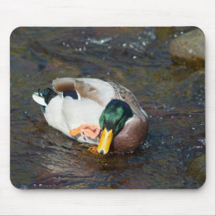 Alfombrilla De Ratón Mallard Drake
