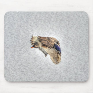 Alfombrilla De Ratón Mallard Duck Birdlover Wildlife Photo
