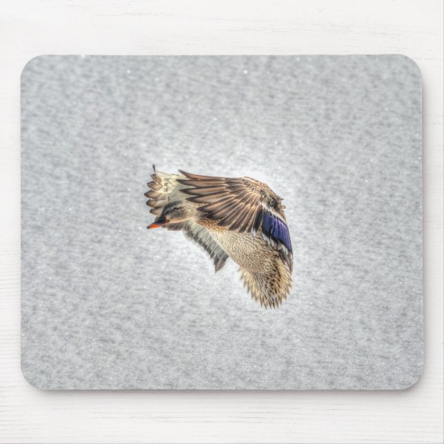 Alfombrilla De Ratón Mallard Duck Birdlover Wildlife Photo (Frente)