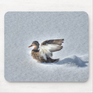 Alfombrilla De Ratón Mallard Duck Birdlover Wildlife Photo