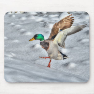 Alfombrilla De Ratón Mallard Duck Birdlover Wildlife Photo