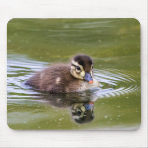 Alfombrilla De Ratón Mallard Duckling