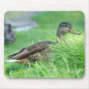 Alfombrilla De Ratón Mallard Mousepad