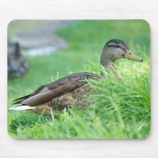 Alfombrilla De Ratón Mallard Mousepad (Frente)