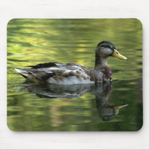 Alfombrilla De Ratón Mallard Se Refleja En Agua Verde