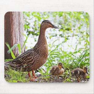 Alfombrilla De Ratón Mallard y Ducklings por Shirley Taylor