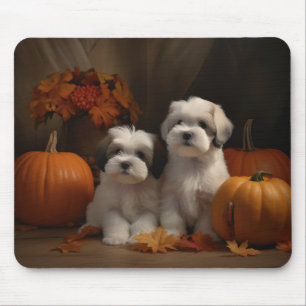 Alfombrilla De Ratón Malti tzu Puppy Calabaza deslumbrante de otoño