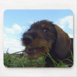 Alfombrilla De Ratón Malvado