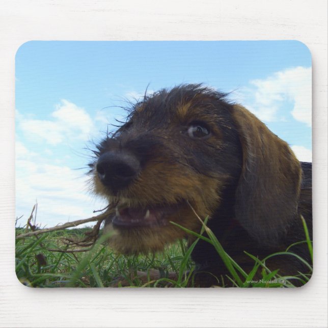 Alfombrilla De Ratón Malvado (Frente)