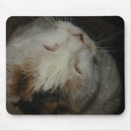 Alfombrilla De Ratón Mamá, estoy durmiendo!! mousepad de gato