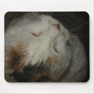 Alfombrilla De Ratón Mamá, estoy durmiendo!! mousepad de gato