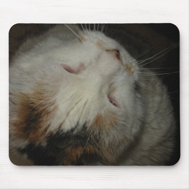 Alfombrilla De Ratón Mamá, estoy durmiendo!! mousepad de gato (Frente)