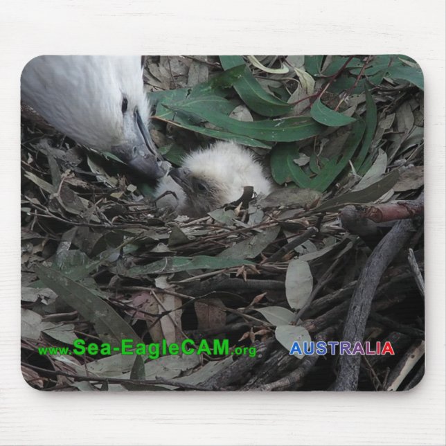 Alfombrilla De Ratón Mamá que alimenta S2 Mousepad horizontal (Frente)