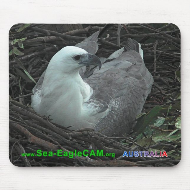 Alfombrilla De Ratón Mamá que se sienta en 2 huevos Mousepad 2013 (Frente)