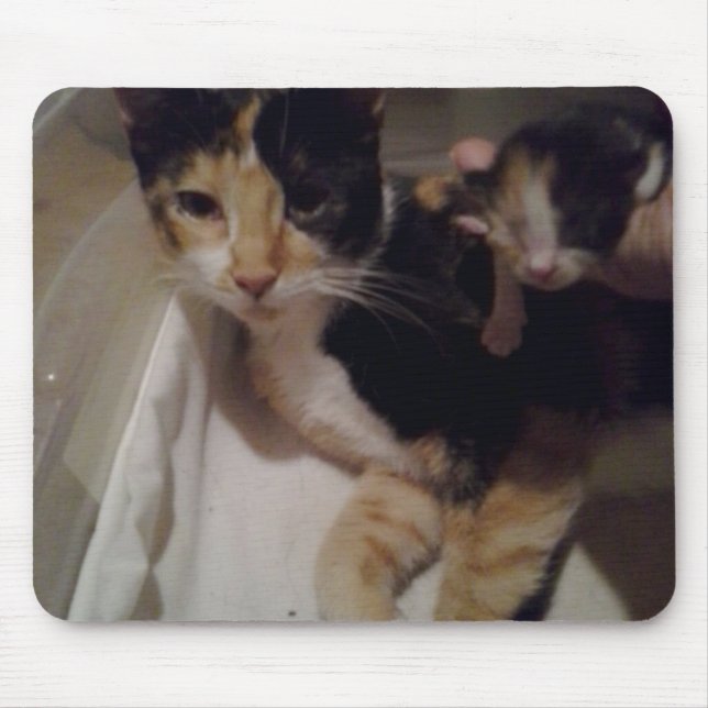 Alfombrilla De Ratón Mama y Baby Mouse Pad (Frente)