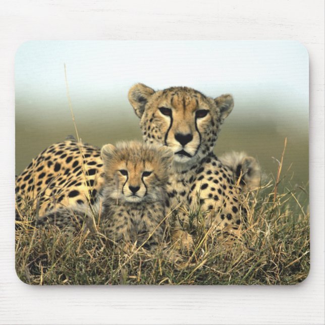Alfombrilla De Ratón Mamá y Cub Mousepad del guepardo (Frente)