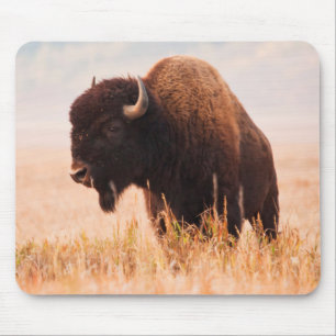 Alfombrilla De Ratón Manada de Bisontes Americanos (Bison Bison) en Tet