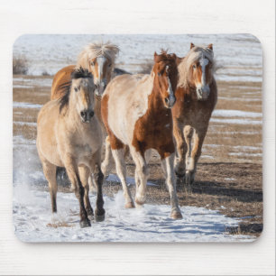 Alfombrilla De Ratón Manada de caballos de razas mixtas corriendo en la