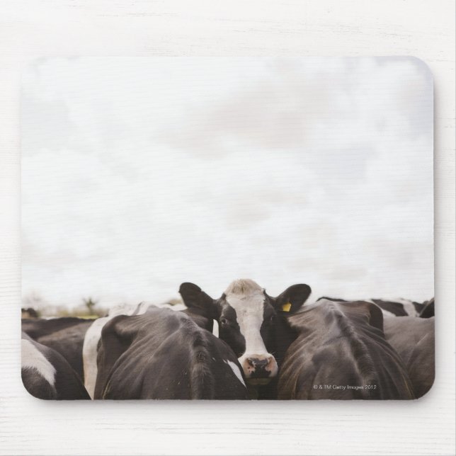 Alfombrilla De Ratón Manada de ganado bovino y cielo nublado (Frente)