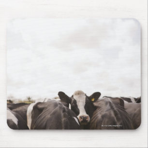 Alfombrilla De Ratón Manada del ganado y del cielo cubierto