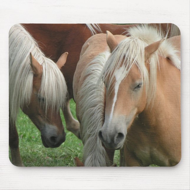 Alfombrilla De Ratón Manada Mousepad del Palomino (Frente)