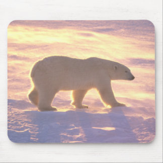 Alfombrilla De Ratón Mañana 3 Mousepad del oso polar
