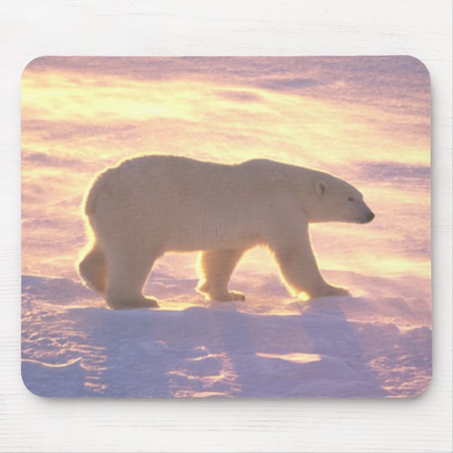 Alfombrilla De Ratón Mañana 3 Mousepad del oso polar (Frente)