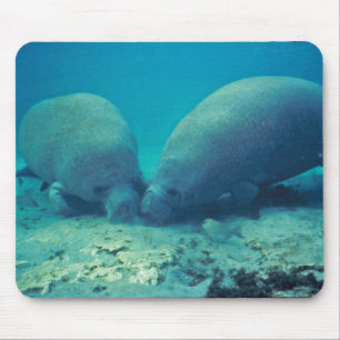 Alfombrilla De Ratón Manatee que arraiga en arena