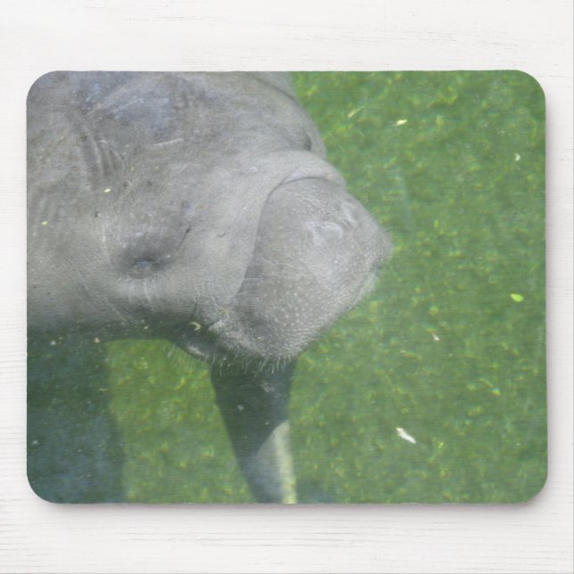 Alfombrilla De Ratón Manatee Smiles mousepad (Frente)
