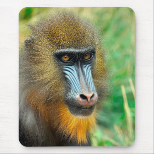 Alfombrilla De Ratón Mandrill 002