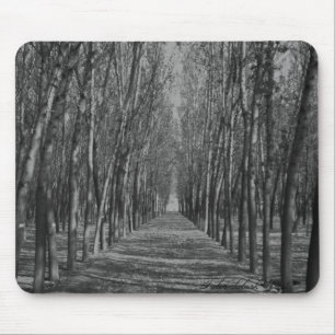 Alfombrilla De Ratón Manera sombría