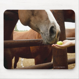 Alfombrilla De Ratón Mano que alimenta a un caballo una manzana