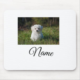 Alfombrilla De Ratón Manta personalizada con foto de animal colorido si