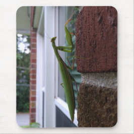 Alfombrilla De Ratón Mantis religiosa en pared de ladrillo