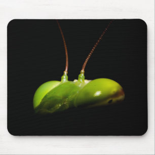 Alfombrilla De Ratón Mantis rezando