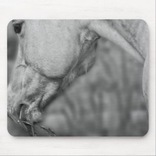 Alfombrilla De Ratón Manzanas de levadura - Mousepad