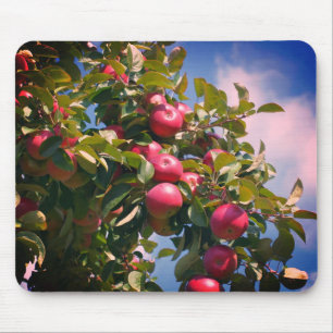 Alfombrilla De Ratón Manzanas rojas en la naturaleza del árbol