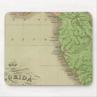 Alfombrilla De Ratón Mapa de Florida