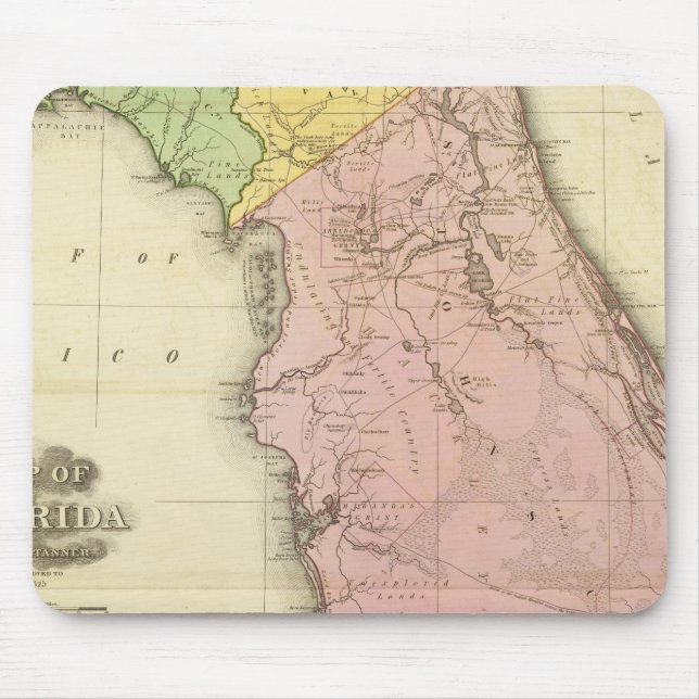 Alfombrilla De Ratón Mapa de Florida 2 (Frente)