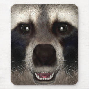Alfombrilla De Ratón Mapache