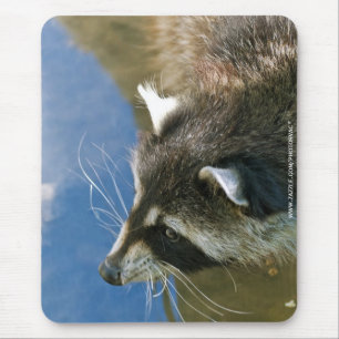 Alfombrilla De Ratón Mapache