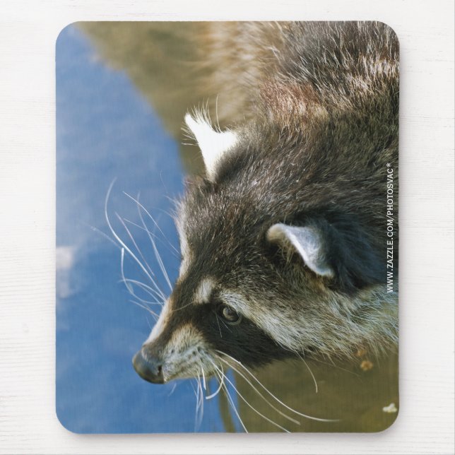 Alfombrilla De Ratón Mapache (Frente)