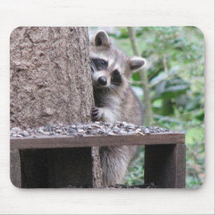 Alfombrilla De Ratón Mapache tímido Mousepad