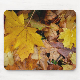 Alfombrilla De Ratón Maple caído deja naturaleza otoño amarilla