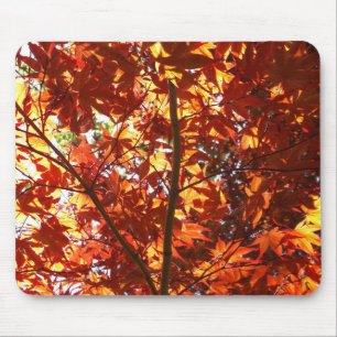 Alfombrilla De Ratón Maple japonés al sol