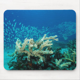 Alfombrilla De Ratón Mar de coral tropical de la gran barrera de coral