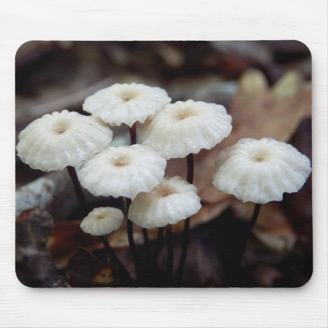Alfombrilla De Ratón Marasmius rotula Mushroom (Frente)