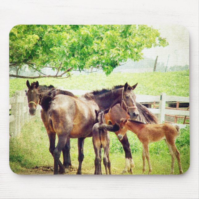 Alfombrilla De Ratón Mares and Foals (Frente)